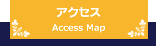 アクセス Access