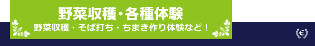 野菜収穫体験・各種体験